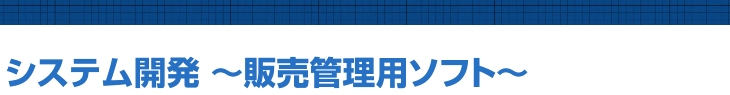 システム開発 ～販売管理用ソフト～
